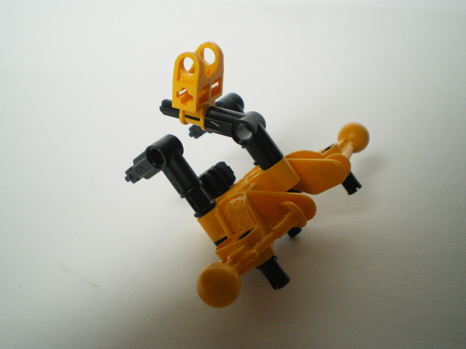 imgp6106.jpg