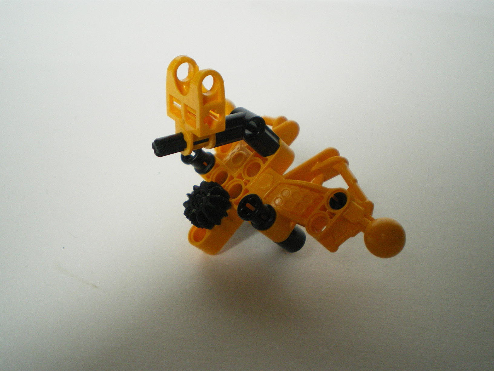 imgp6108.jpg