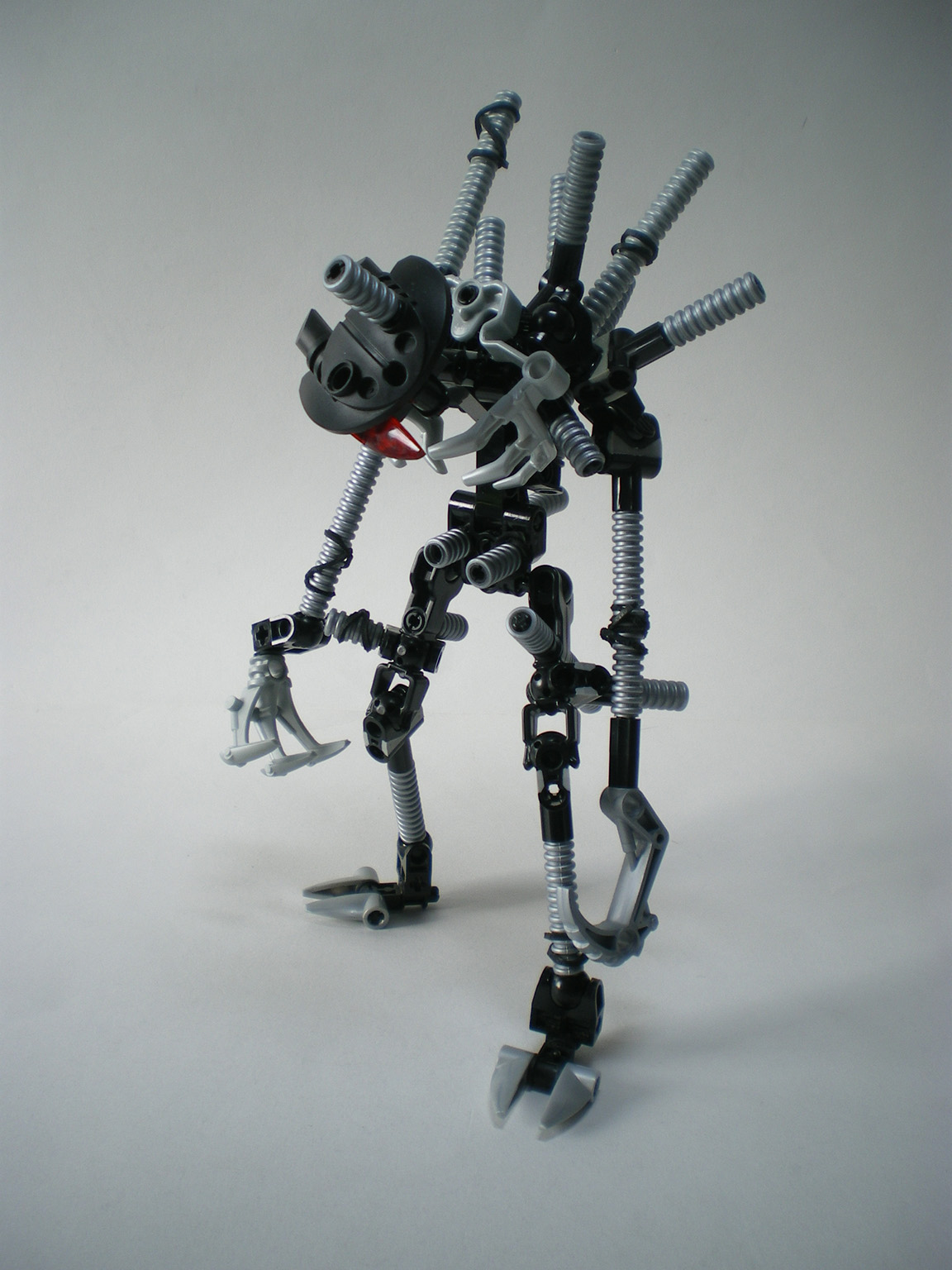 imgp3104.jpg