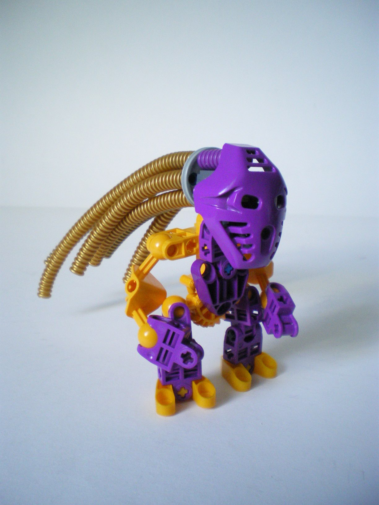 imgp9146.jpg