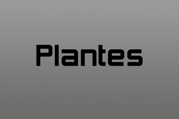 006plantes.jpg