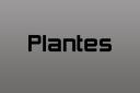 006-Plantes