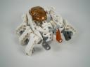 imgp0287.jpg