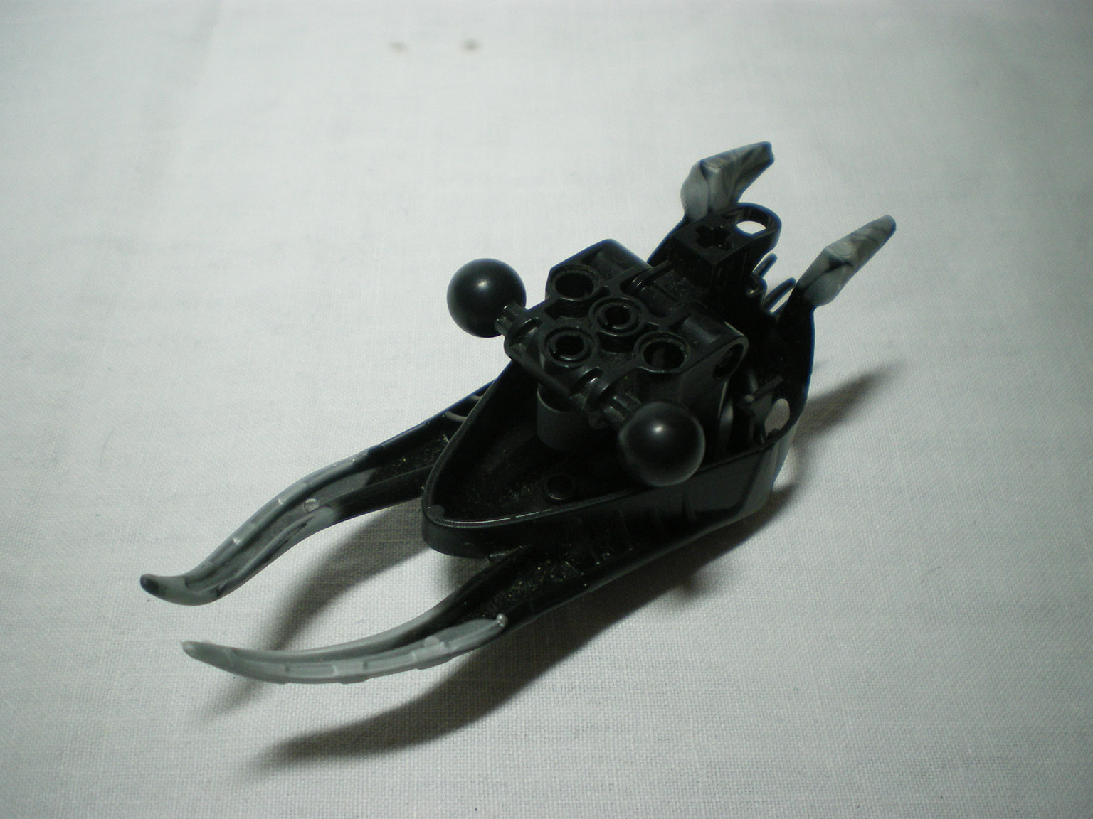 imgp4555.jpg