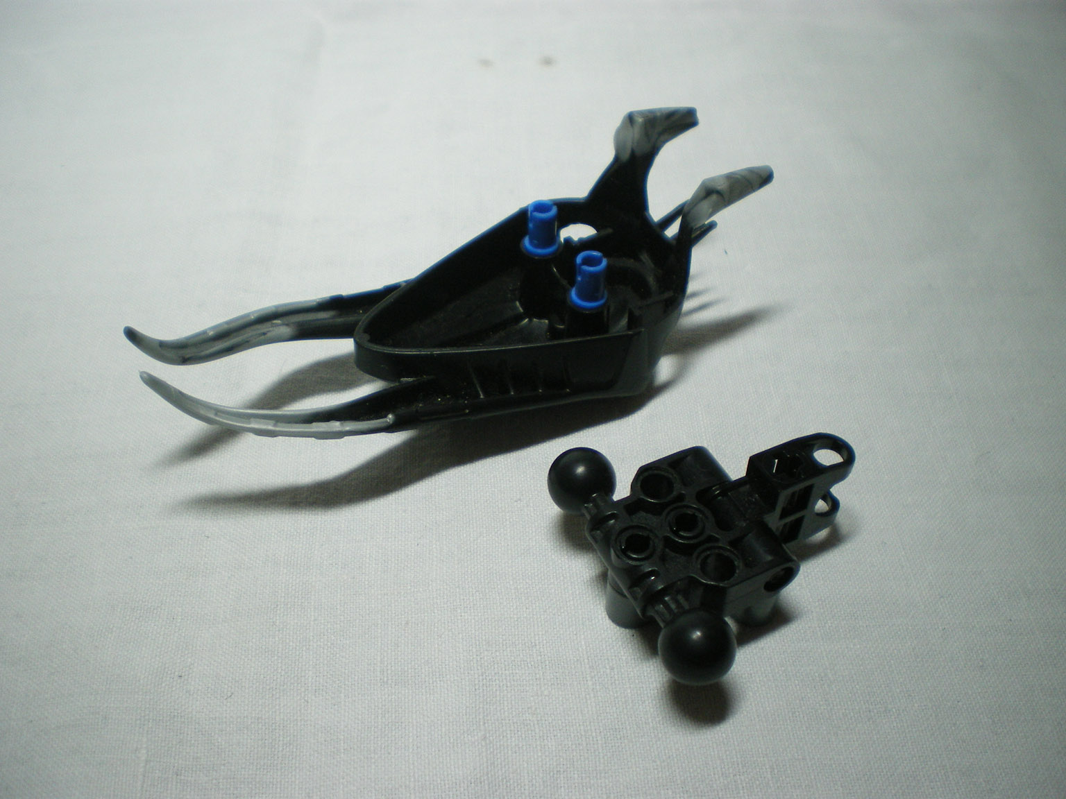imgp4556.jpg