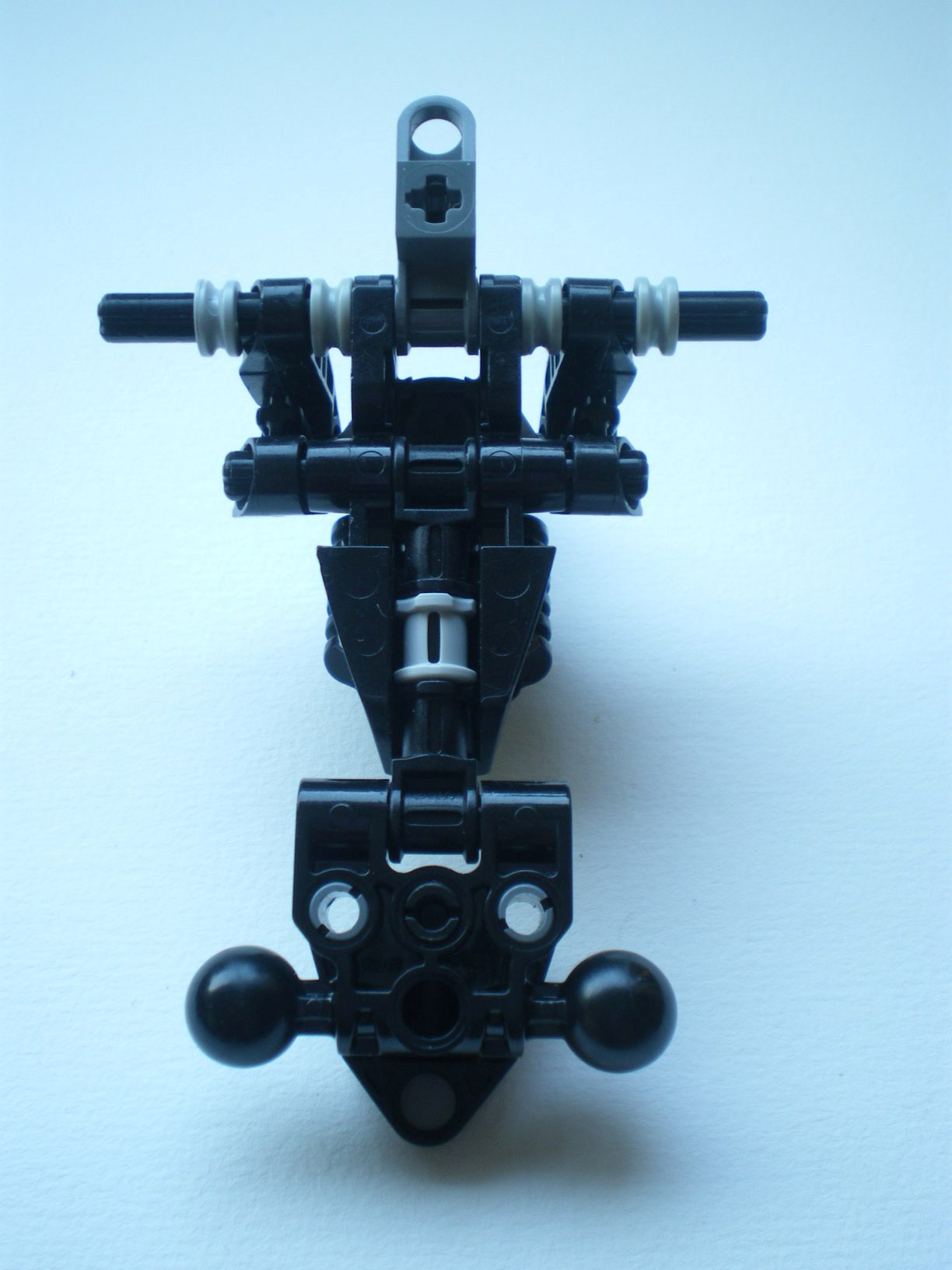 imgp1556.jpg