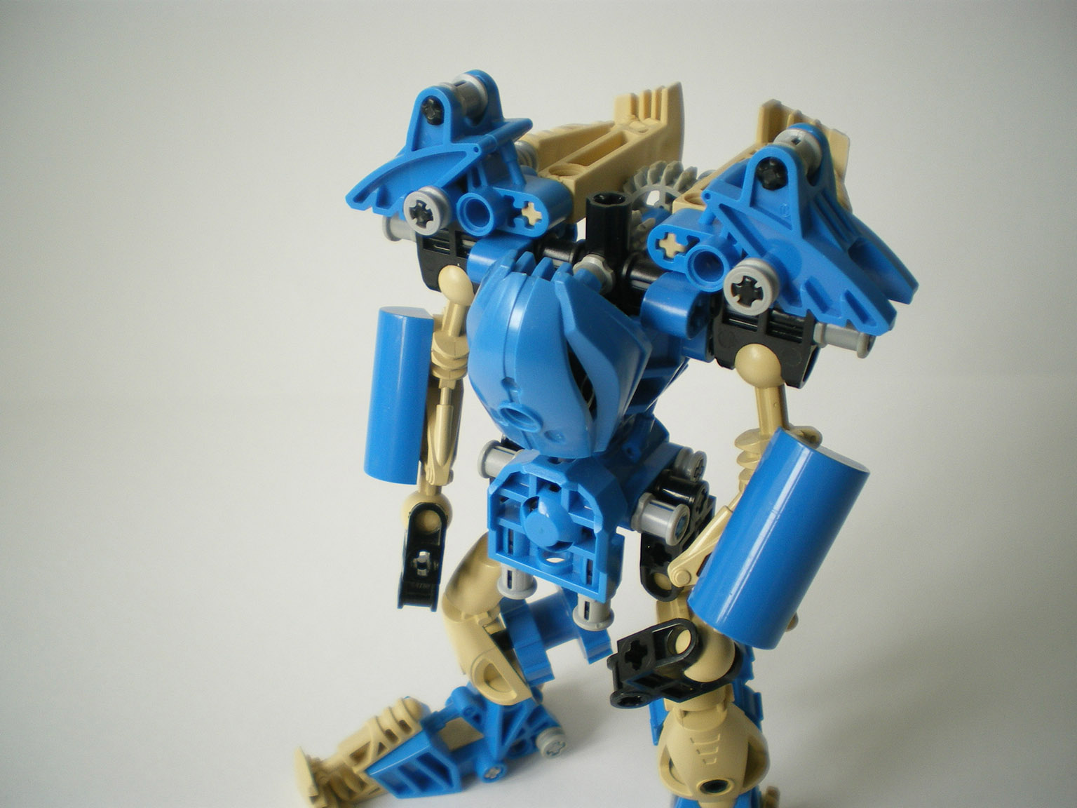 imgp5572.jpg