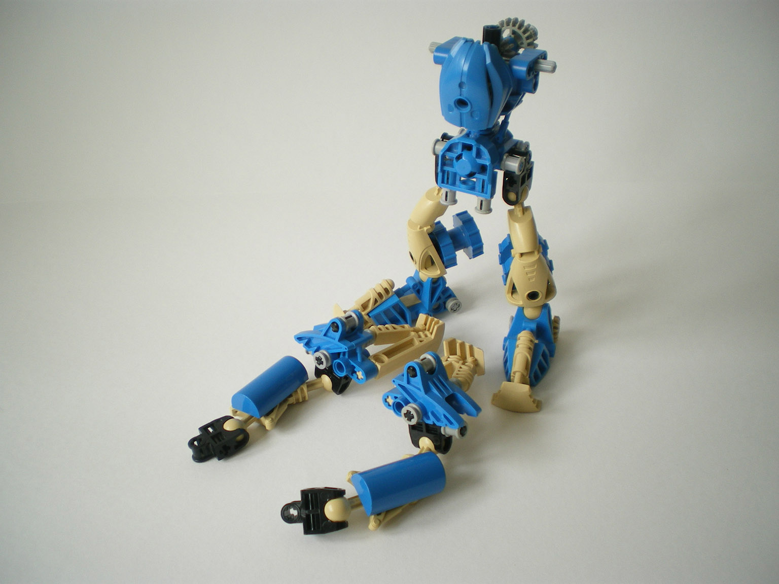 imgp5573.jpg