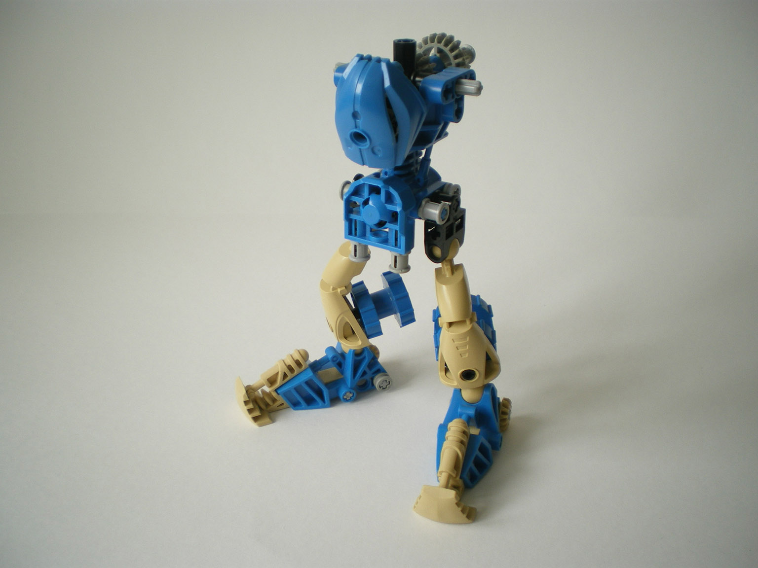 imgp5578.jpg