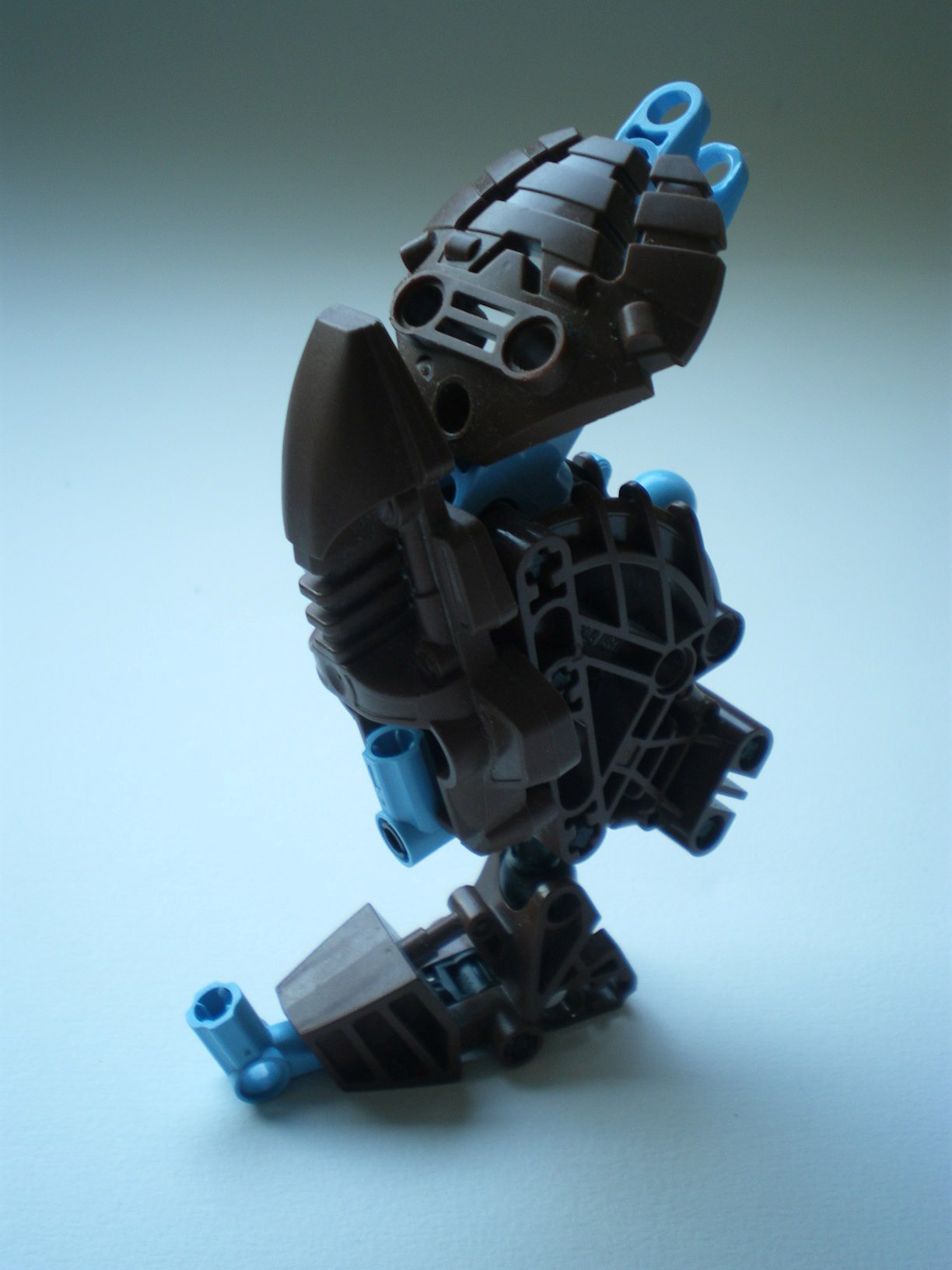 imgp1593.jpg