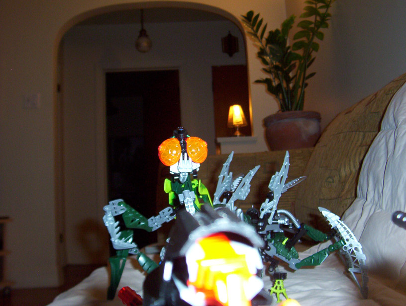 155_3233.jpg