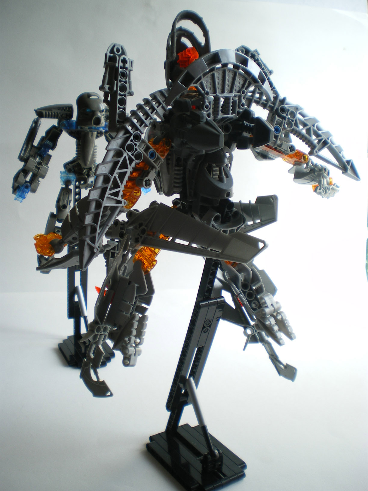 imgp2900.jpg