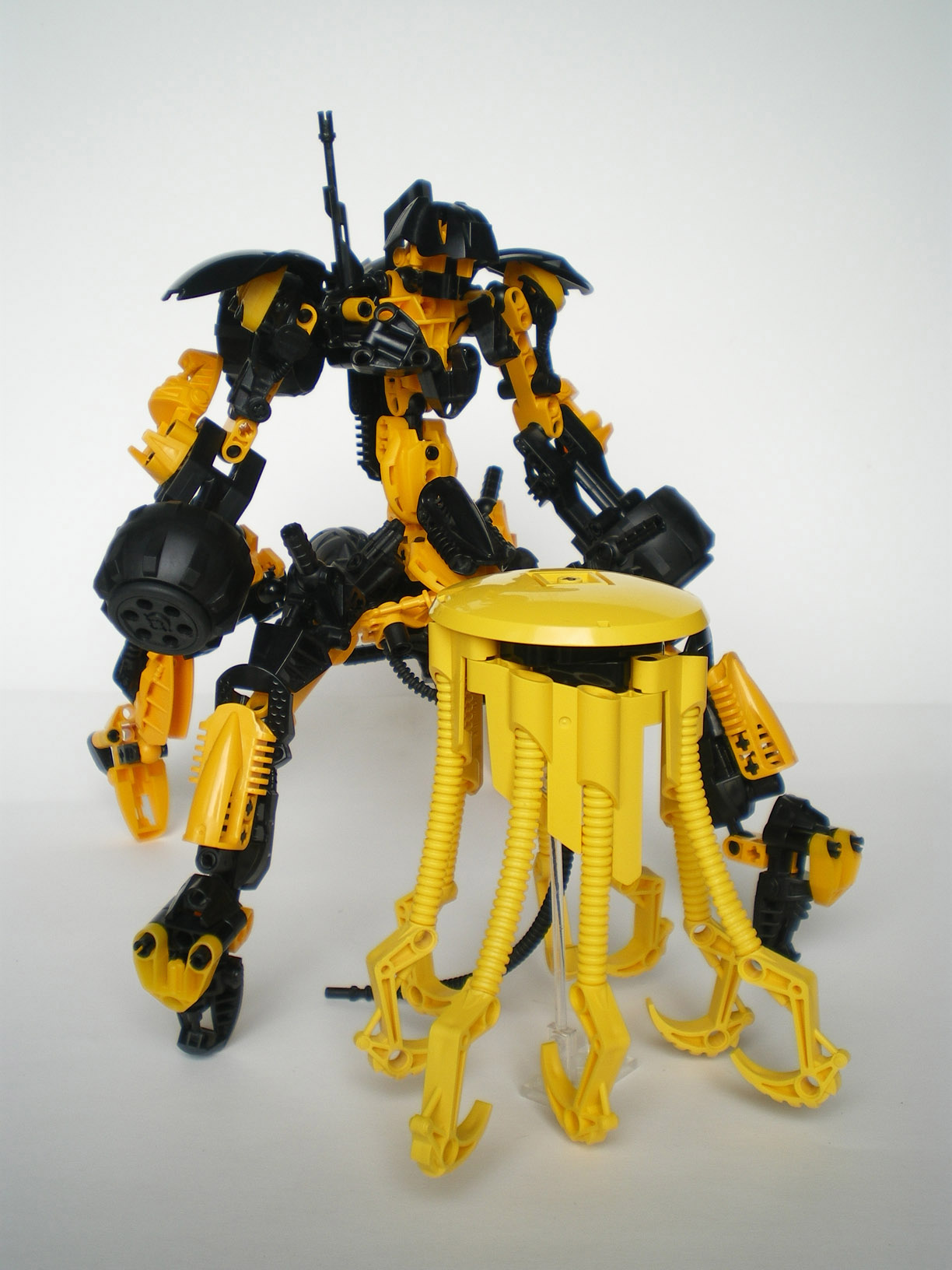 imgp5529.jpg