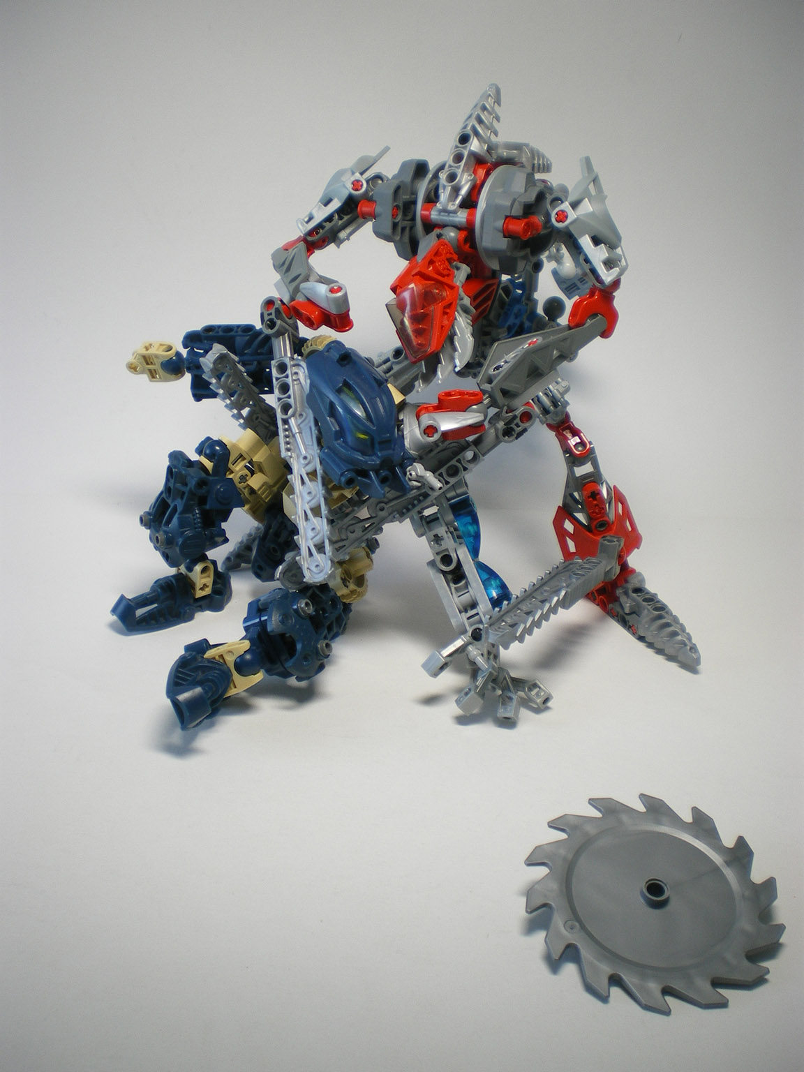 imgp2608.jpg