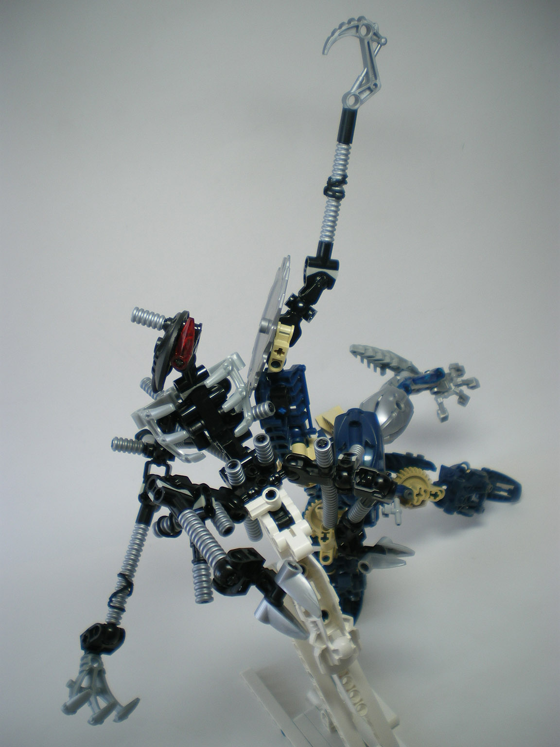imgp2803.jpg