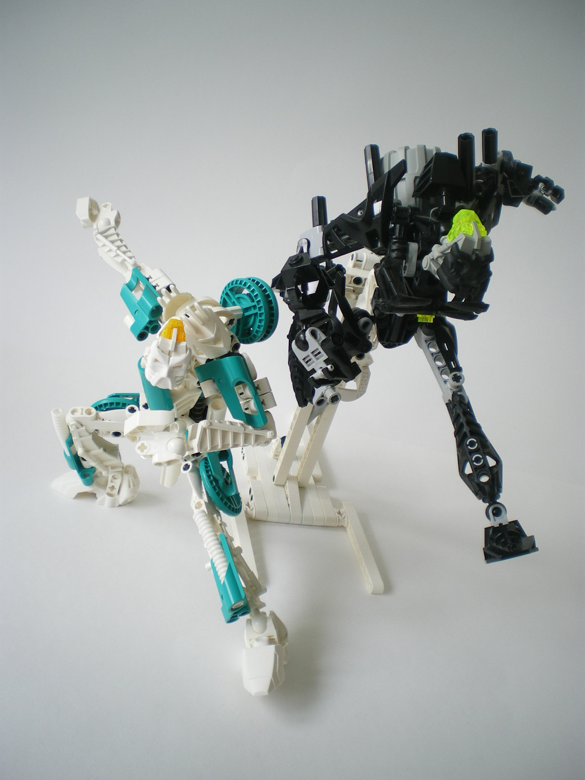imgp8101.jpg