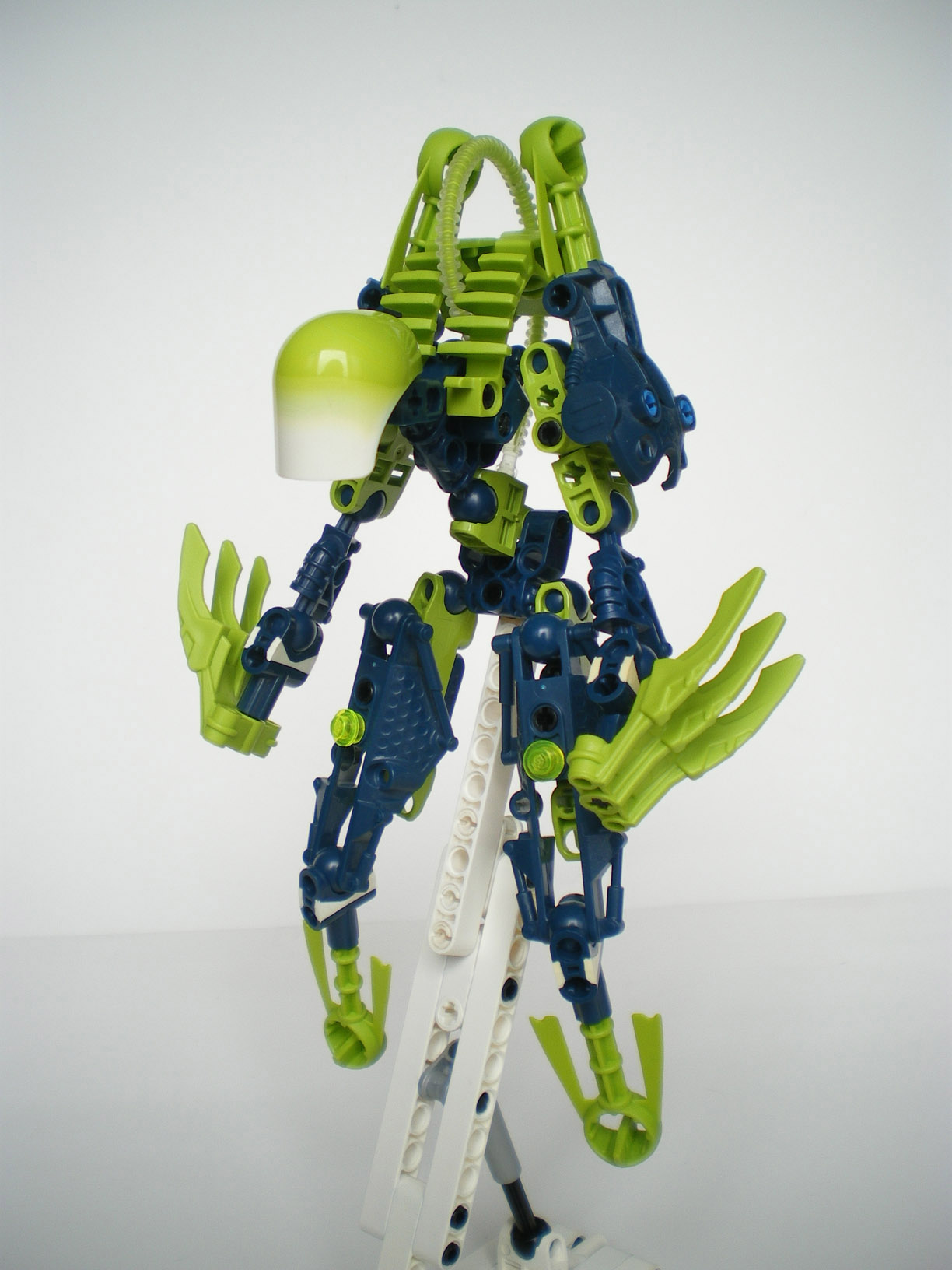 imgp5736.jpg