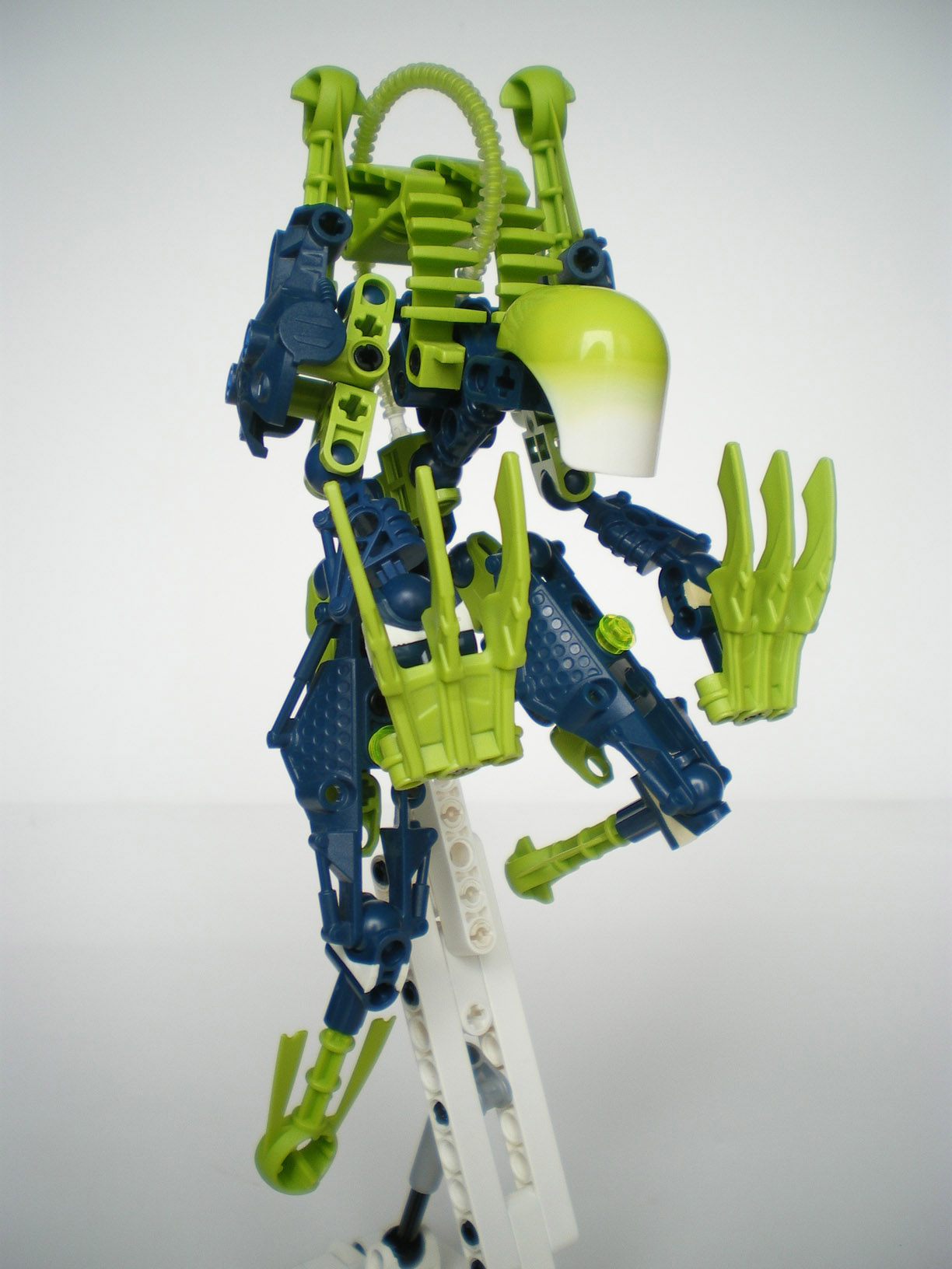 imgp5737.jpg