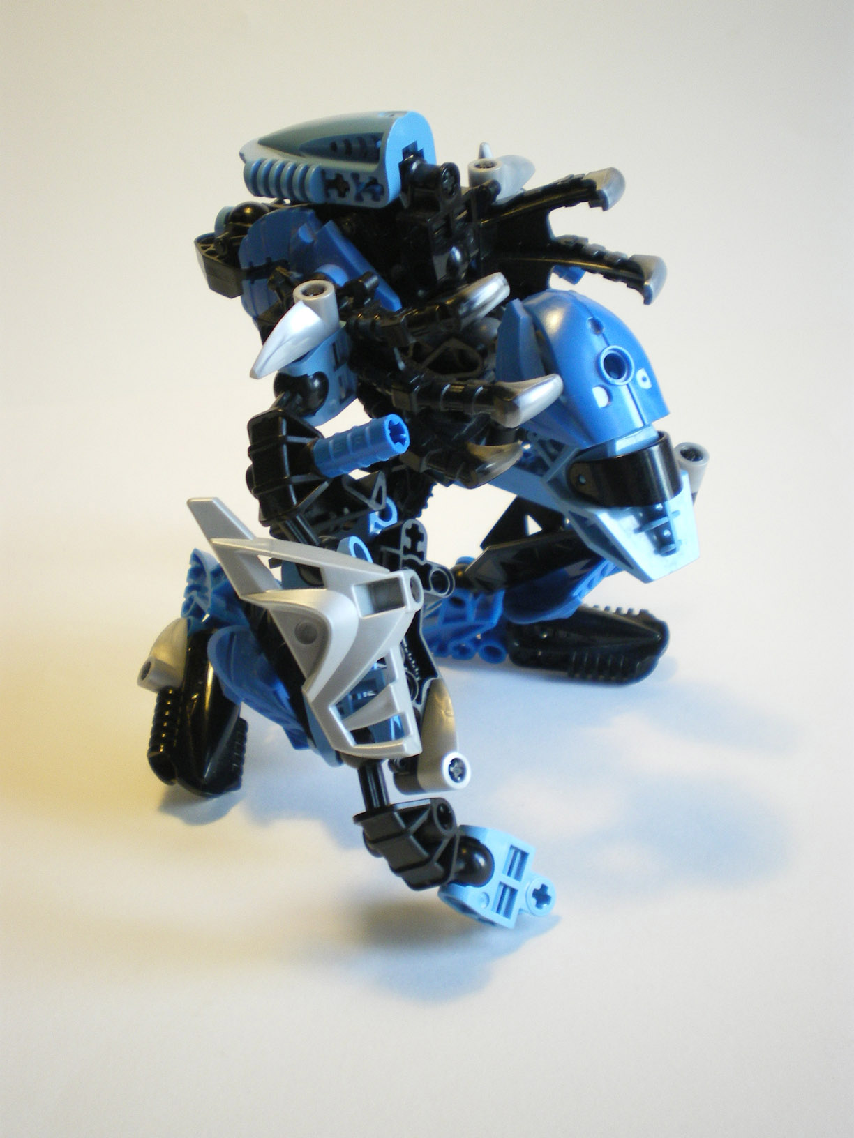 imgp1131.jpg