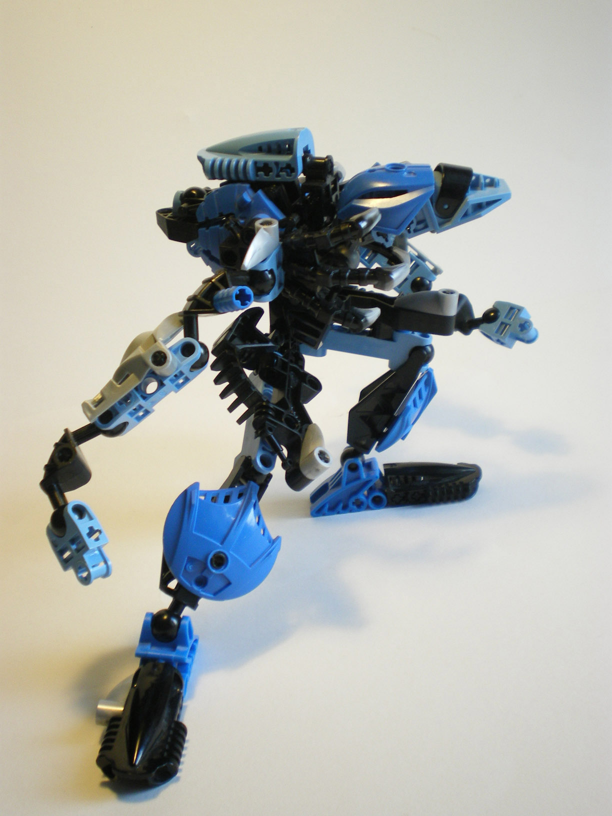 imgp1137.jpg