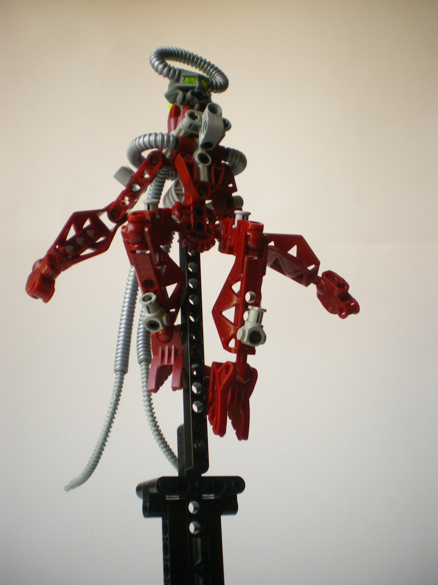 imgp2503.jpg