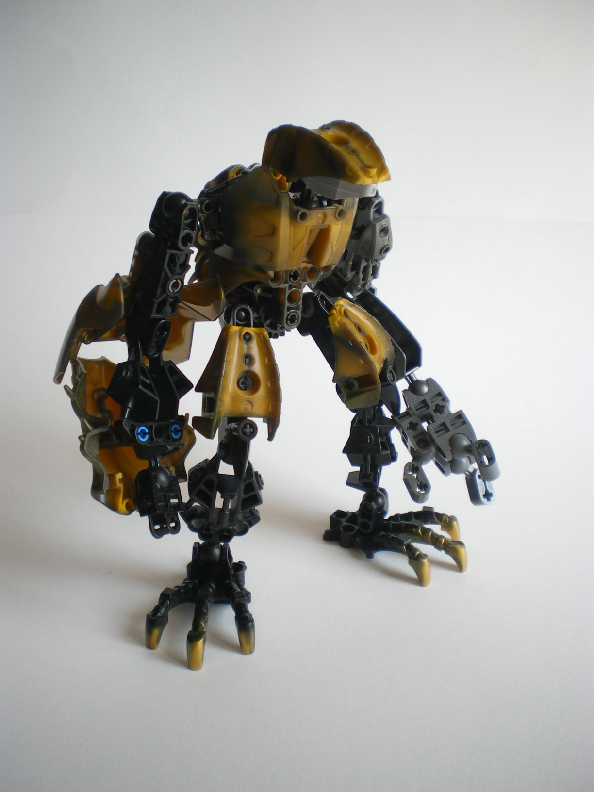 imgp8976.jpg
