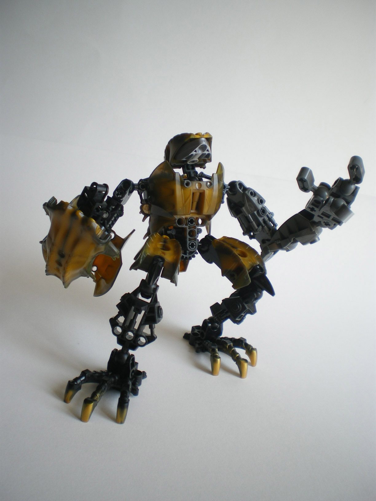 imgp8990.jpg