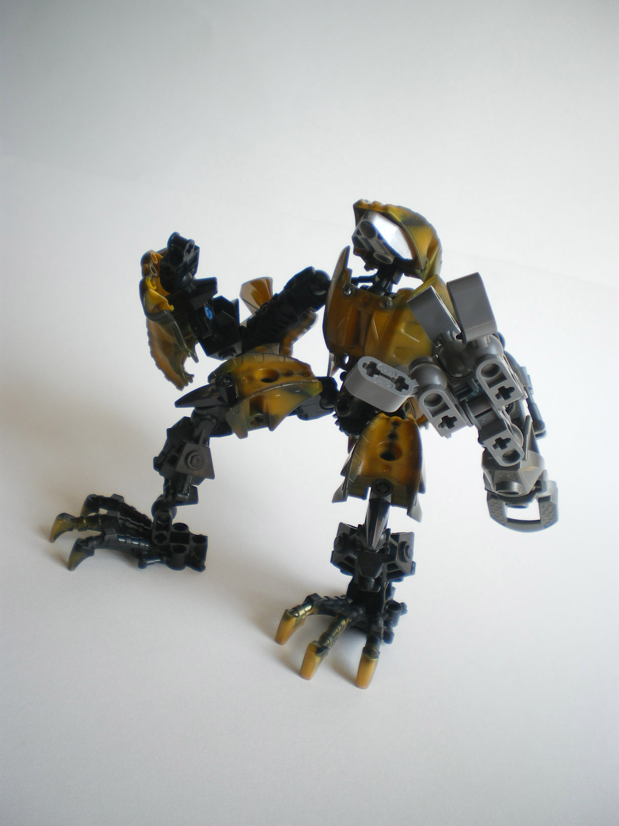 imgp8992.jpg