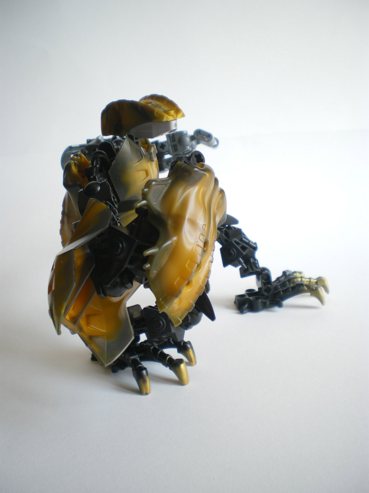 imgp9002.jpg