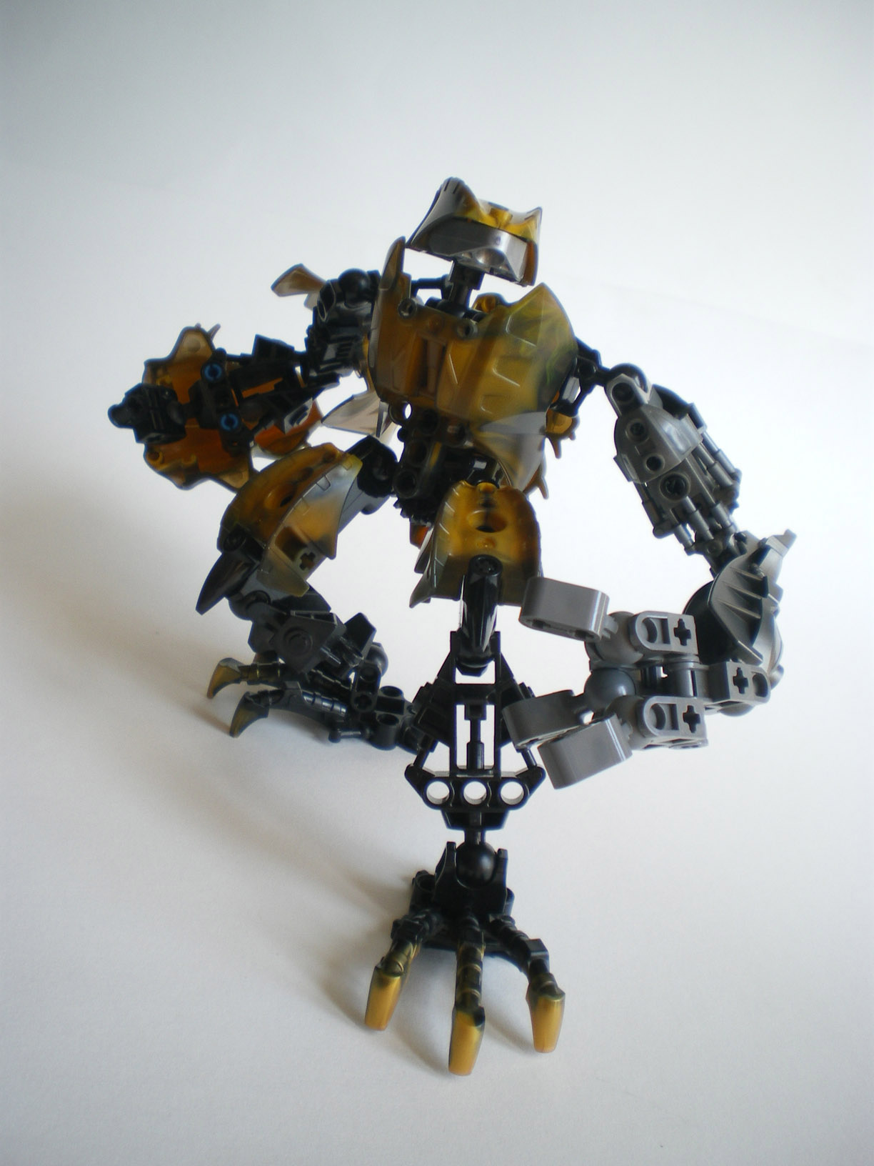 imgp9014.jpg