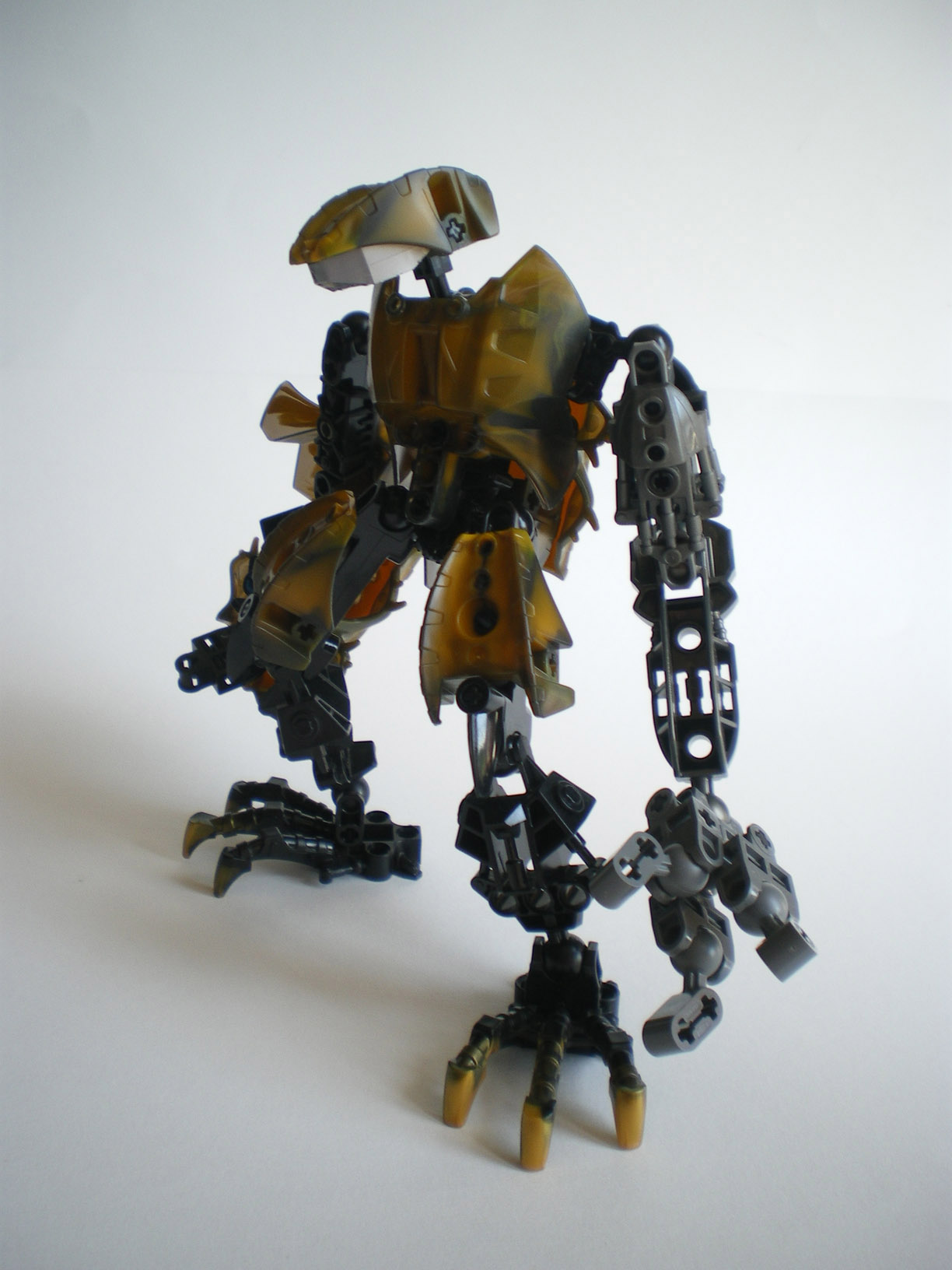 imgp9017.jpg