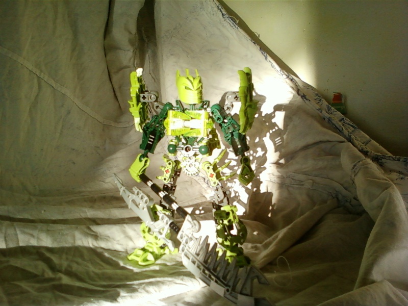 00412.jpg