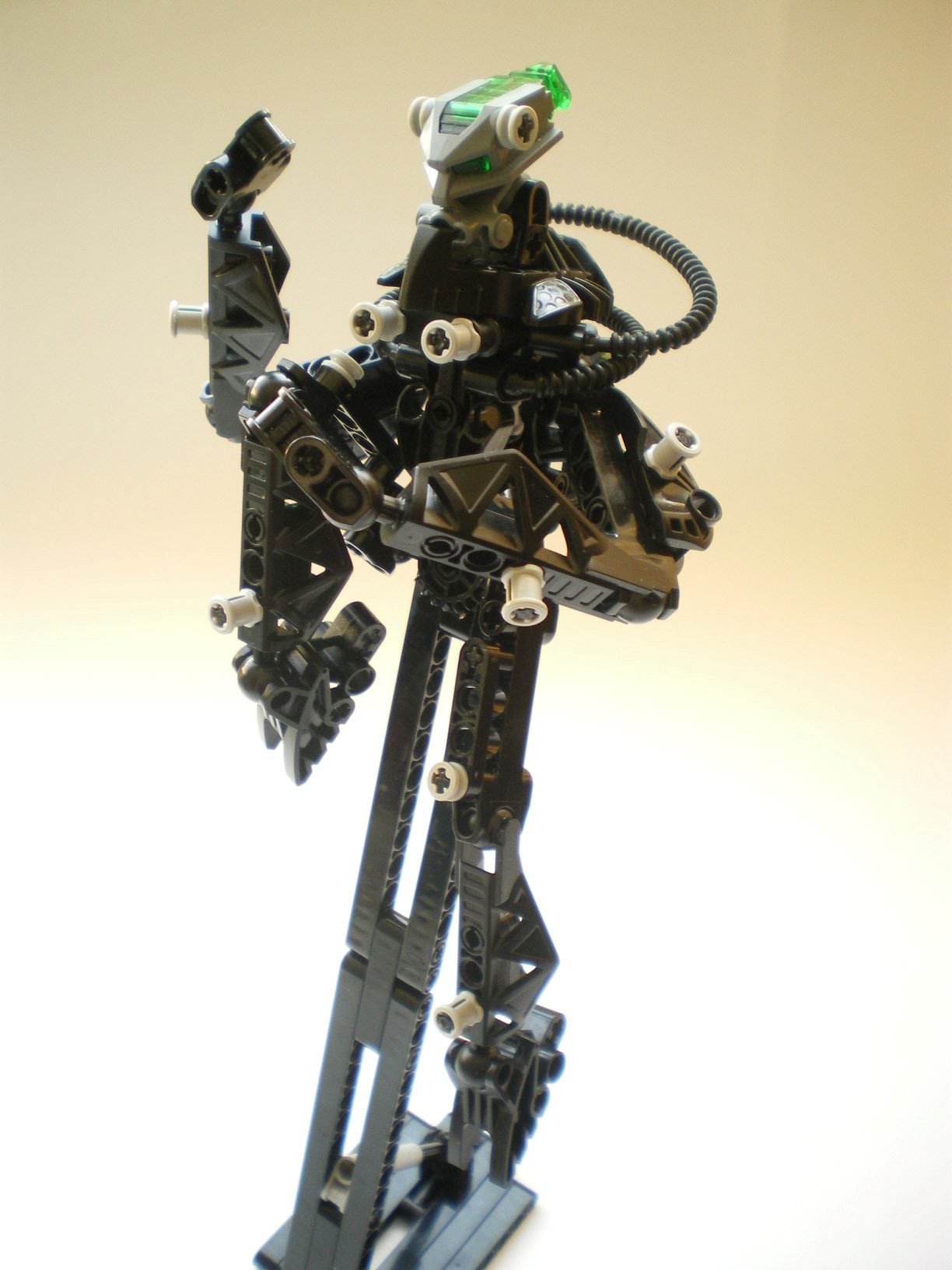 imgp1264.jpg