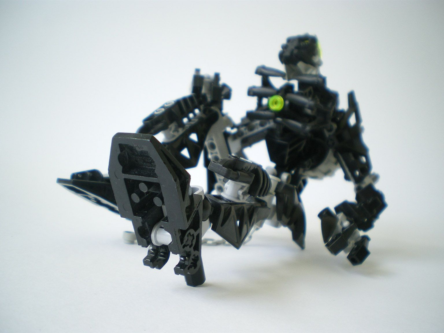 imgp7408.jpg