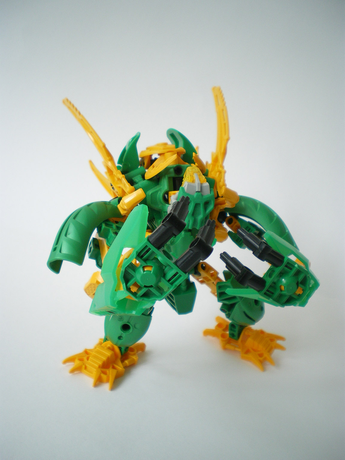 imgp7800.jpg