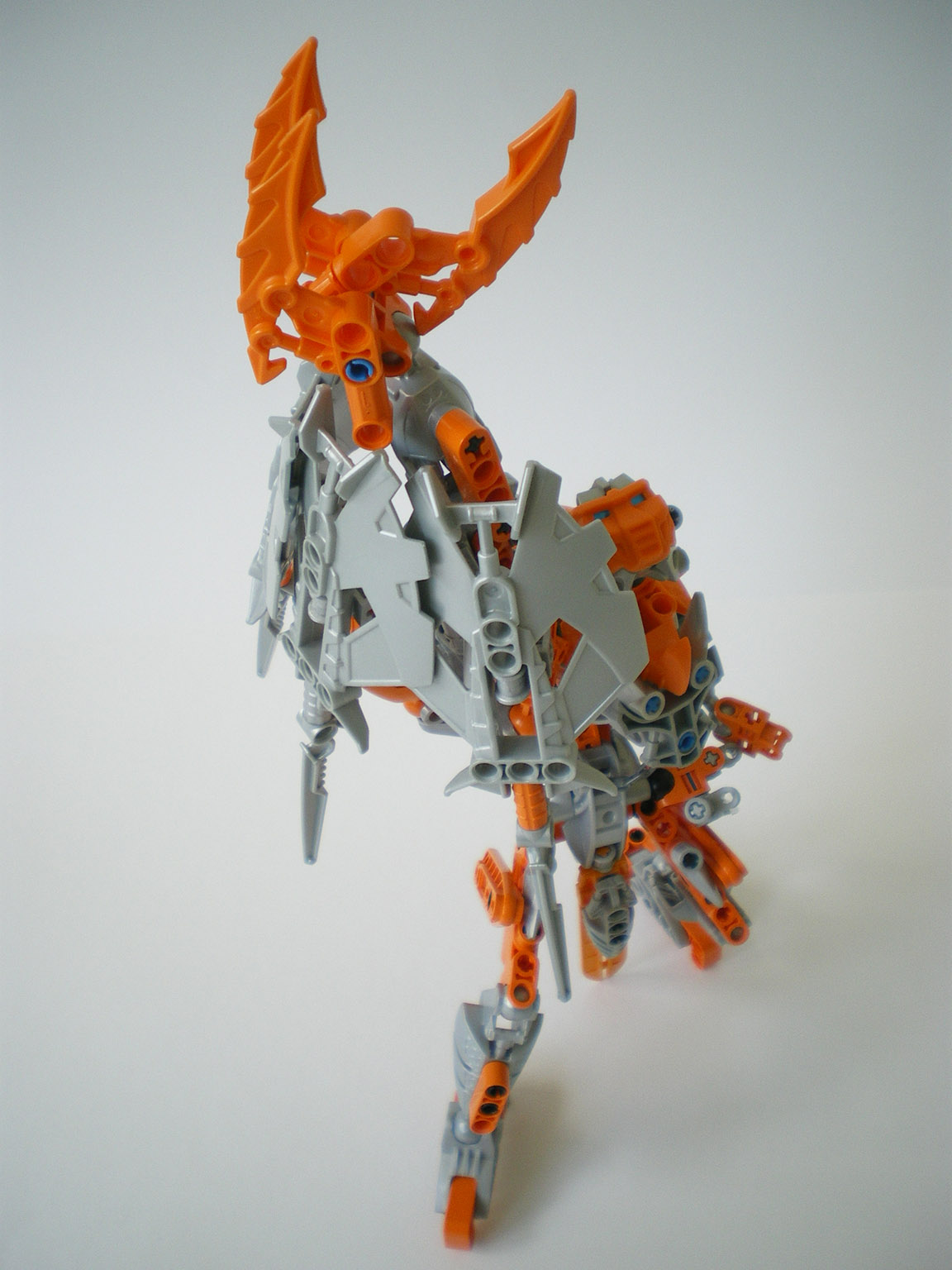 imgp7888.jpg