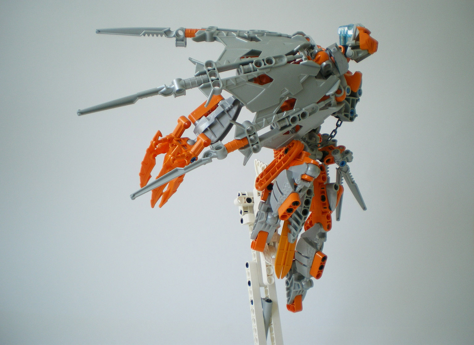 imgp7905.jpg
