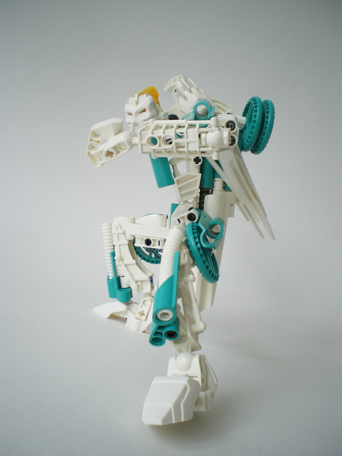 imgp7721.jpg