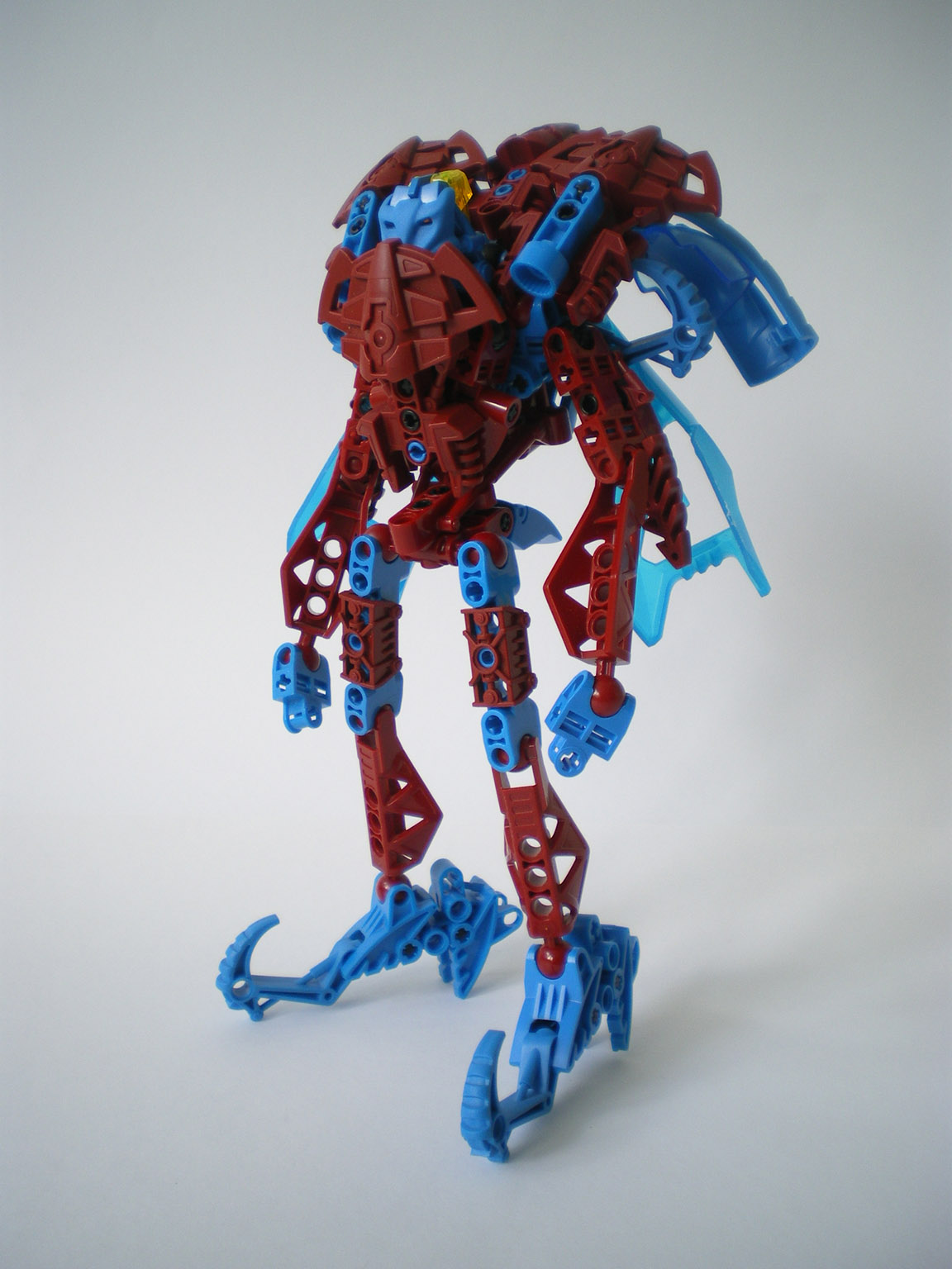 imgp7486.jpg