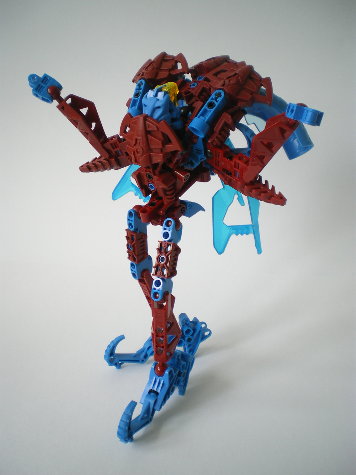 imgp7488.jpg