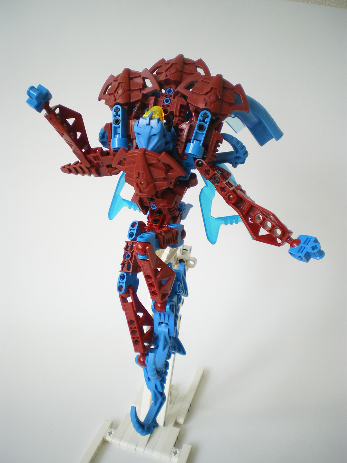 imgp7503.jpg