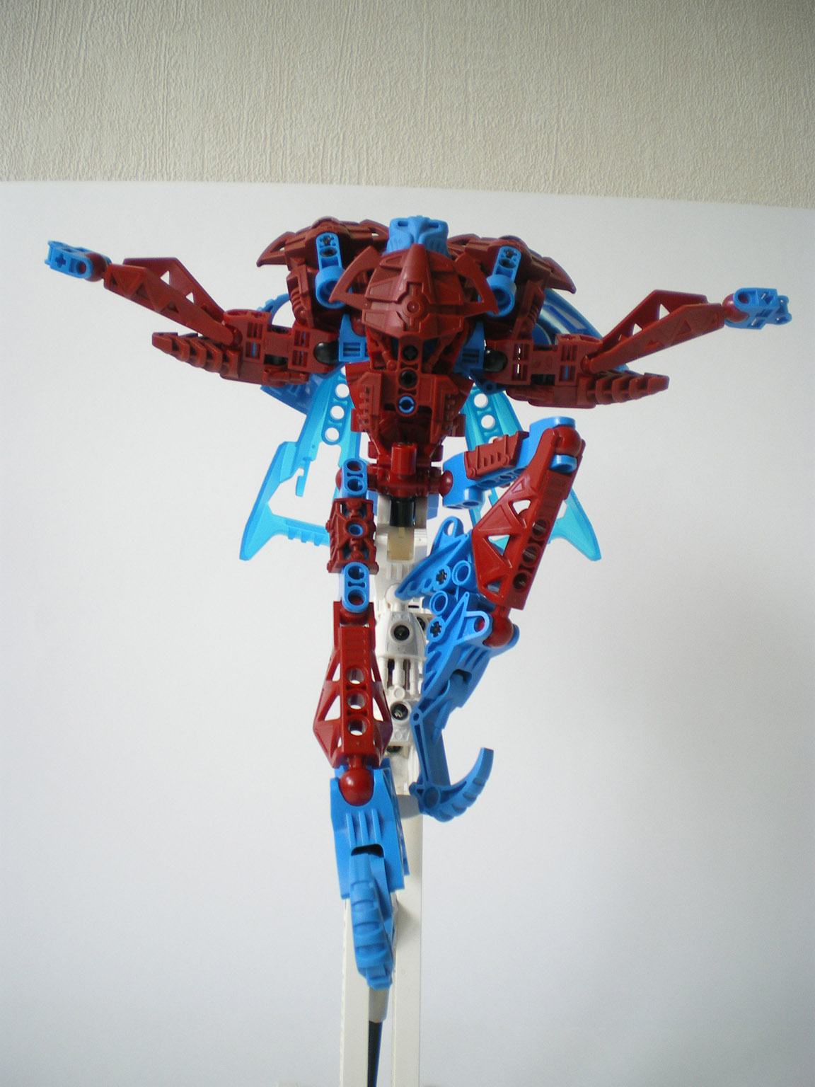 imgp7517.jpg