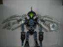 wings_back.jpg
