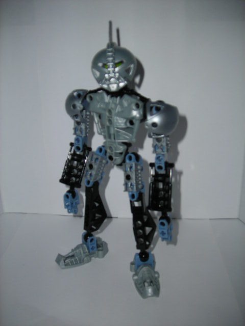 toa_face_up.jpg