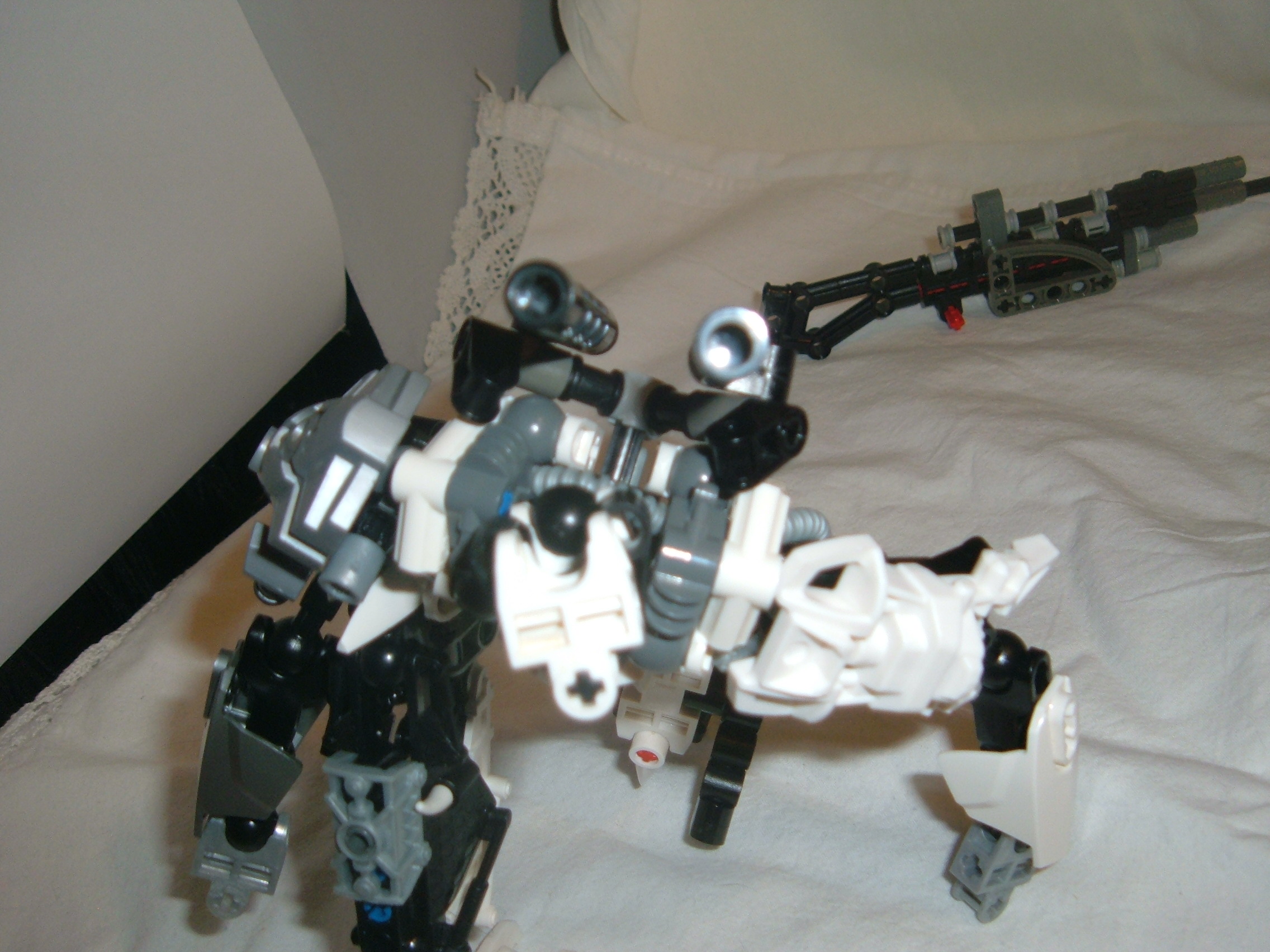 dscf1091.jpg