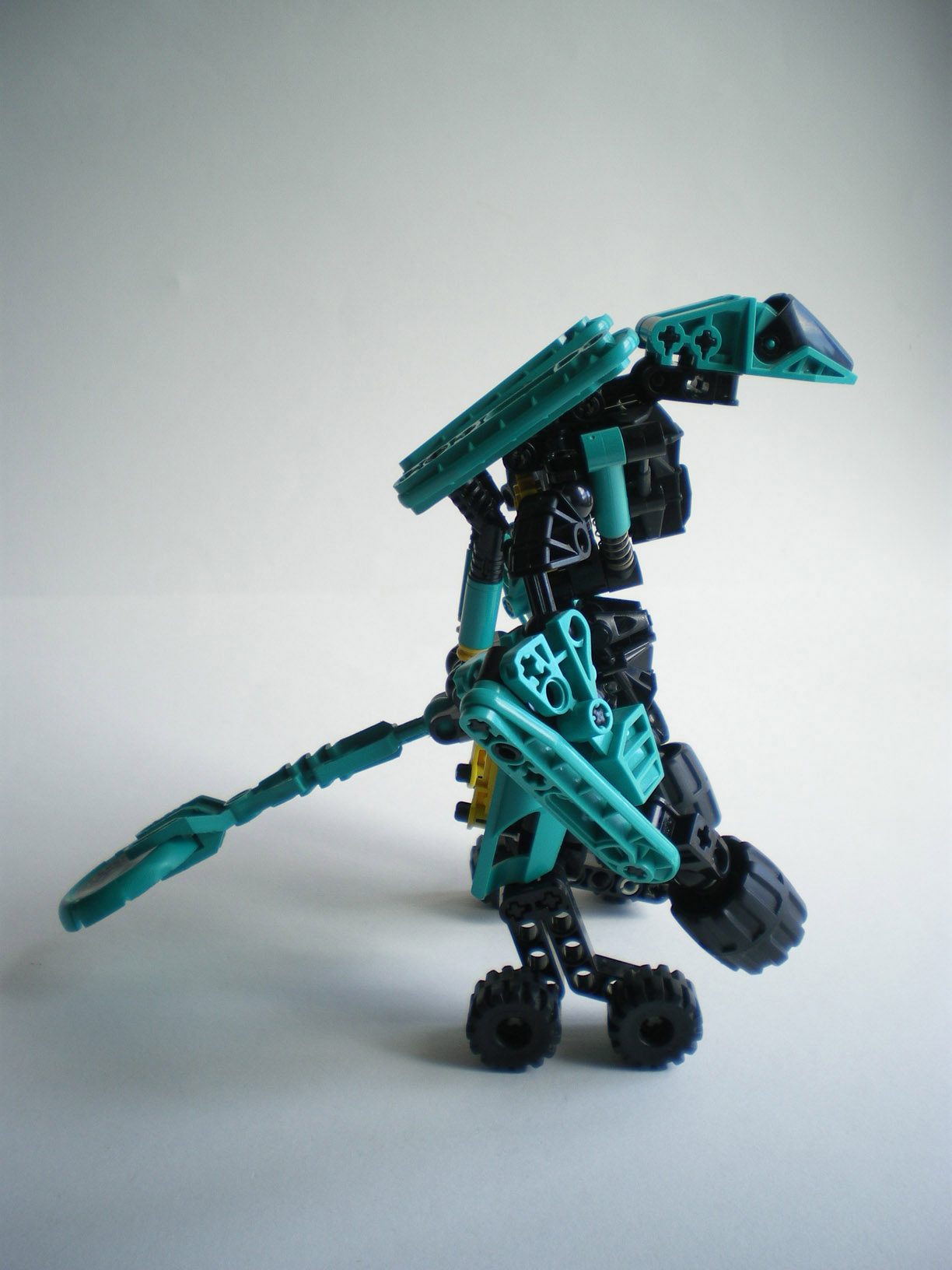 imgp2539.jpg