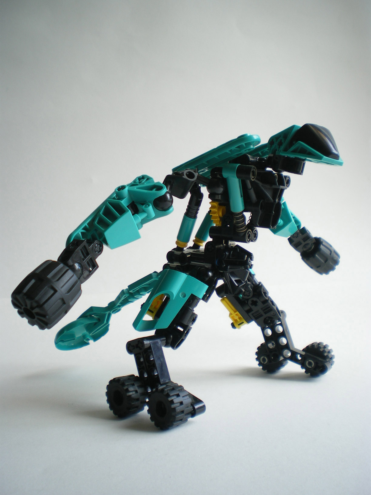 imgp2566.jpg