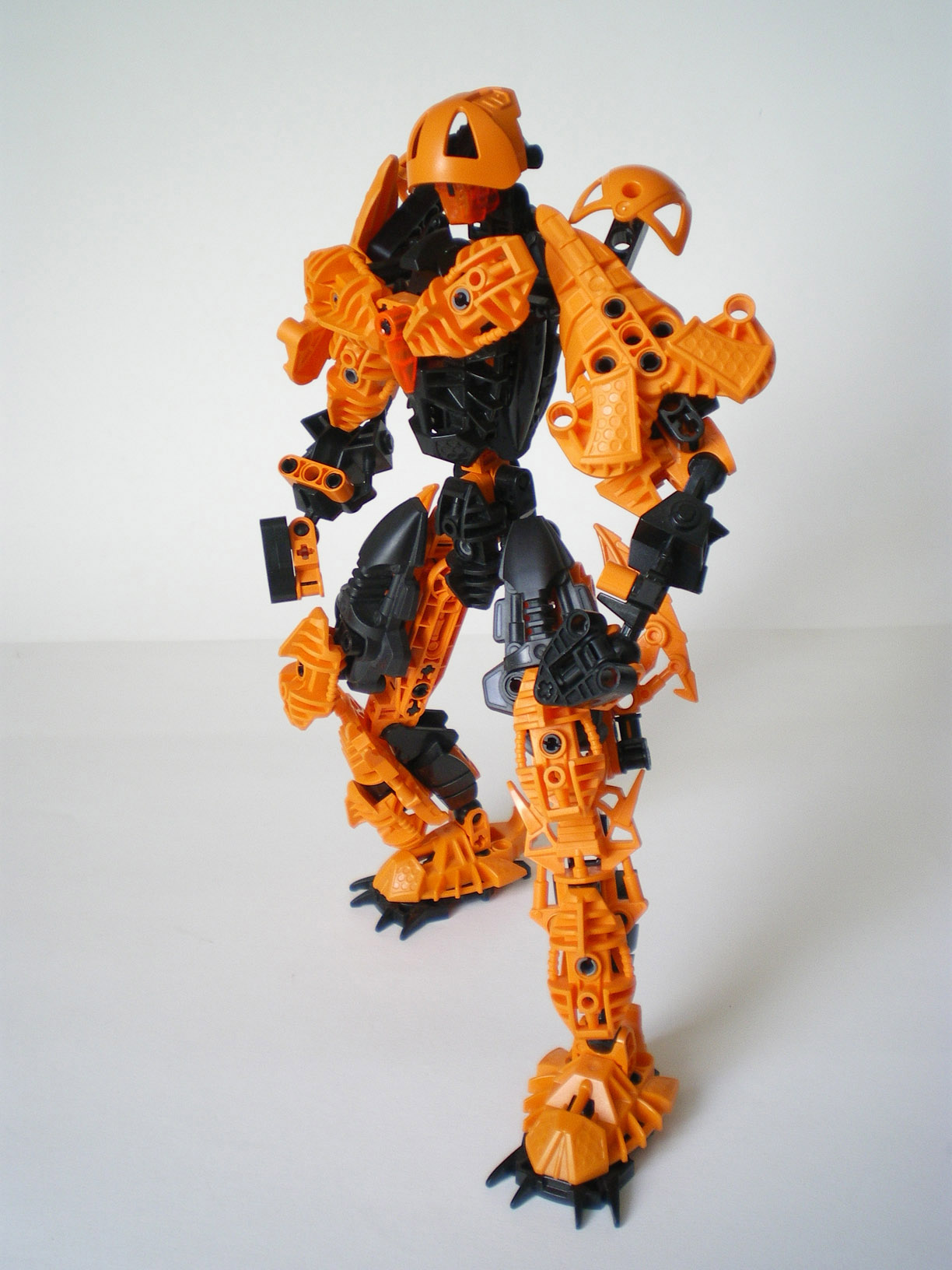 imgp7649.jpg