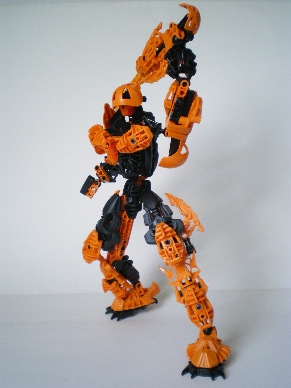 imgp7664.jpg