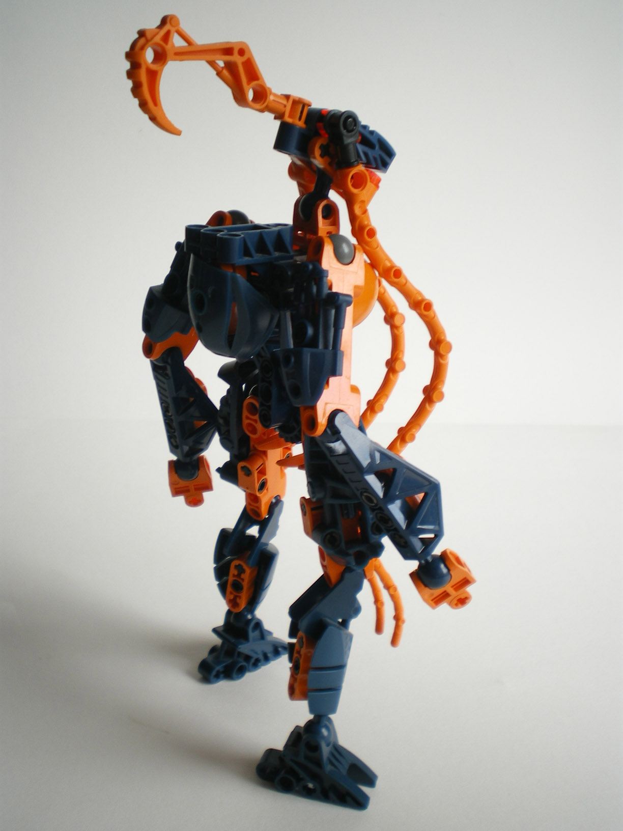 imgp9237.jpg
